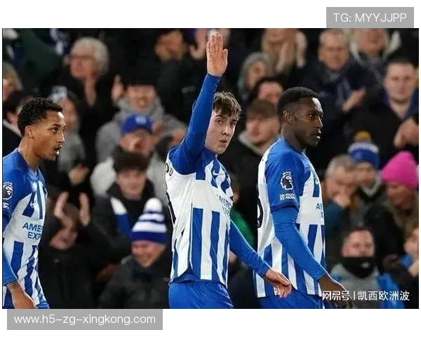 布莱顿费尔布鲁根脚下参与积极