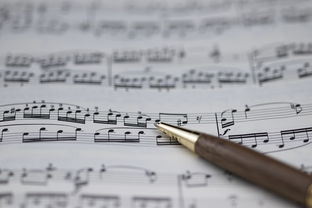 星空国际体育-NBA球员职业规划建议与实施，nba球员怎么规划锻炼和训练